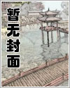 喂猫日记